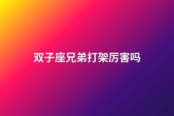 双子座兄弟打架厉害吗-第1张-星座运势-玄机派