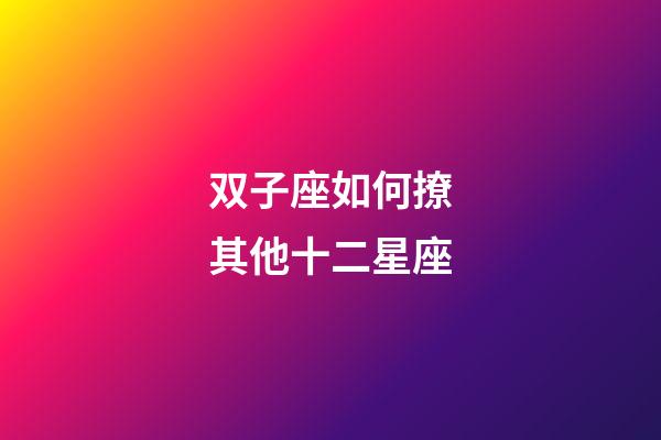 双子座如何撩其他十二星座-第1张-星座运势-玄机派