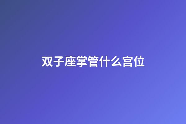 双子座掌管什么宫位-第1张-星座运势-玄机派