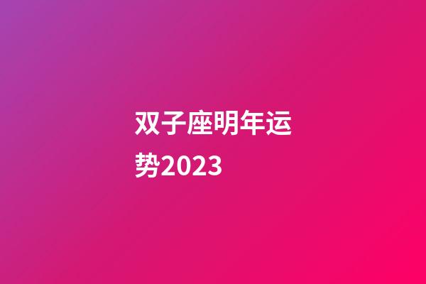 双子座明年运势2023-第1张-星座运势-玄机派