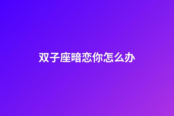 双子座暗恋你怎么办-第1张-星座运势-玄机派