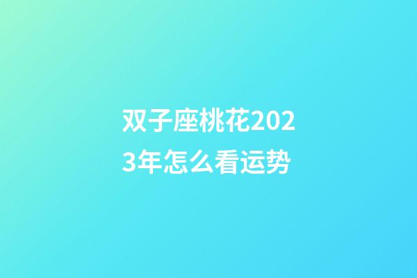 双子座桃花2023年怎么看运势-第1张-星座运势-玄机派