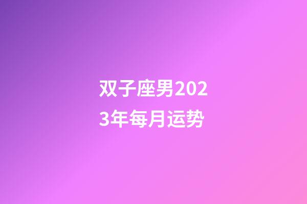 双子座男2023年每月运势-第1张-星座运势-玄机派