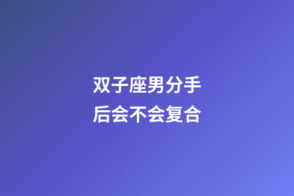 双子座男分手后会不会复合-第1张-星座运势-玄机派