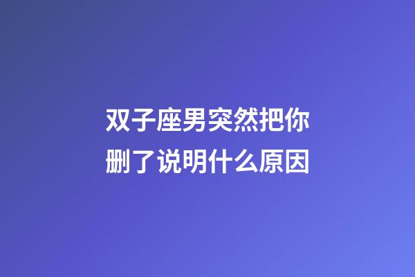 双子座男突然把你删了说明什么原因-第1张-星座运势-玄机派