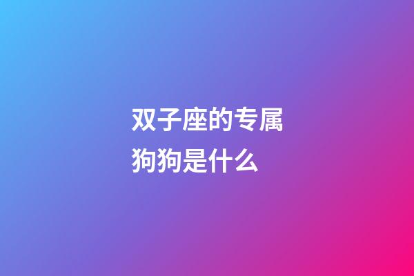 双子座的专属狗狗是什么-第1张-星座运势-玄机派