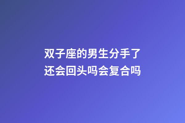 双子座的男生分手了还会回头吗会复合吗-第1张-星座运势-玄机派