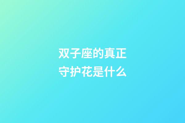 双子座的真正守护花是什么