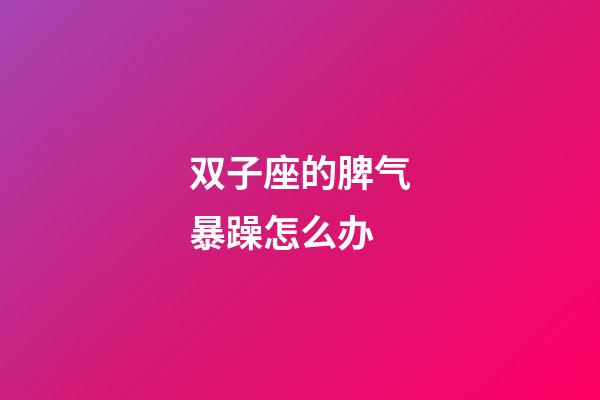 双子座的脾气暴躁怎么办-第1张-星座运势-玄机派