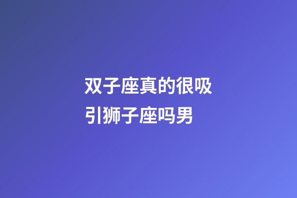 双子座真的很吸引狮子座吗男-第1张-星座运势-玄机派