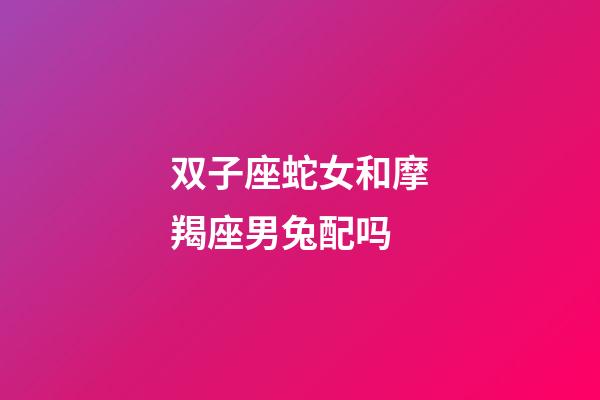 双子座蛇女和摩羯座男兔配吗-第1张-星座运势-玄机派