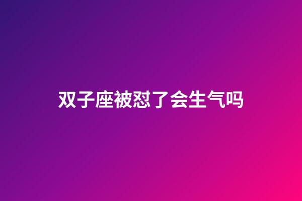 双子座被怼了会生气吗-第1张-星座运势-玄机派