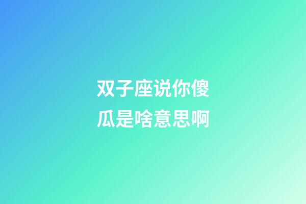 双子座说你傻瓜是啥意思啊-第1张-星座运势-玄机派