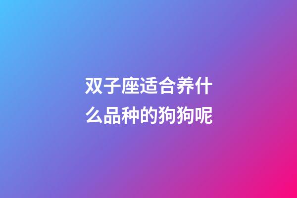 双子座适合养什么品种的狗狗呢