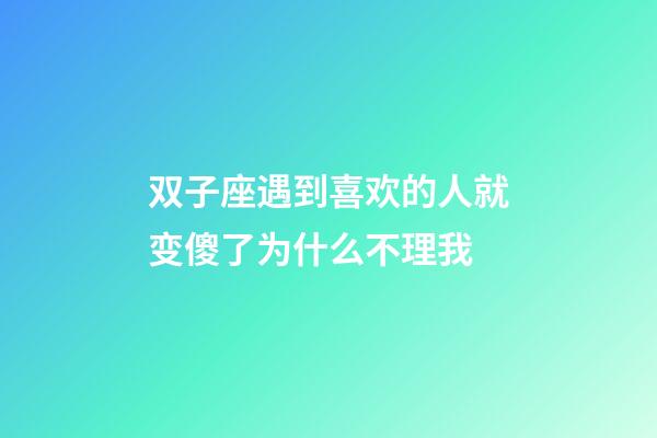 双子座遇到喜欢的人就变傻了为什么不理我-第1张-星座运势-玄机派