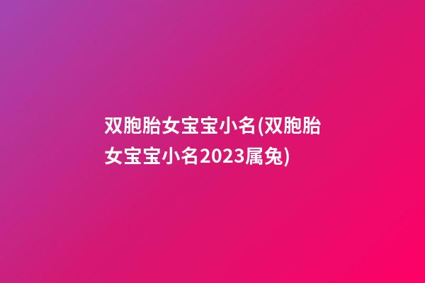 双胞胎女宝宝小名(双胞胎女宝宝小名2023属兔)