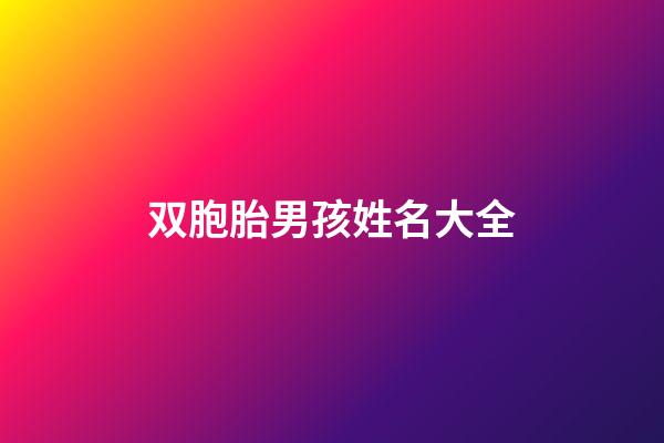 双胞胎男孩姓名大全(双胞胎男孩名字2023年名字大全)-第1张-男孩起名-玄机派