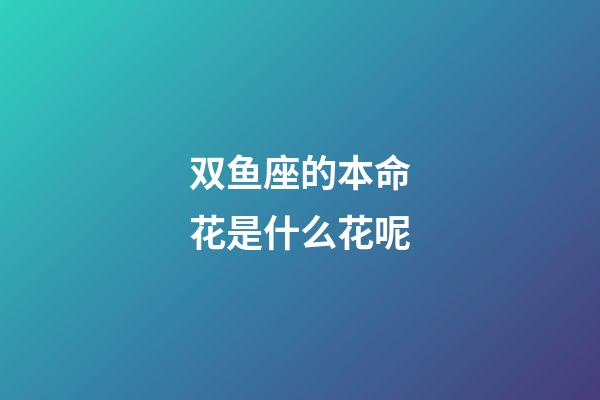 双鱼座的本命花是什么花呢