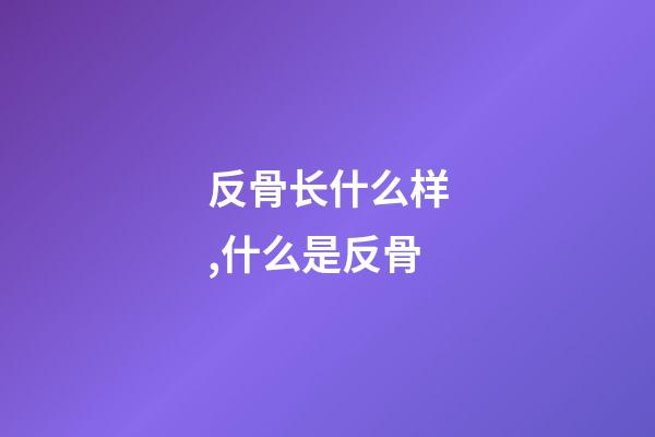 反骨长什么样,什么是反骨