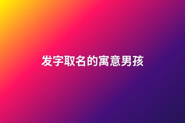 发字取名的寓意男孩(发字取名的寓意男孩名字)-第1张-男孩起名-玄机派