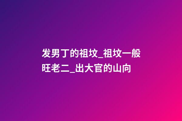 发男丁的祖坟_祖坟一般旺老二_出大官的山向