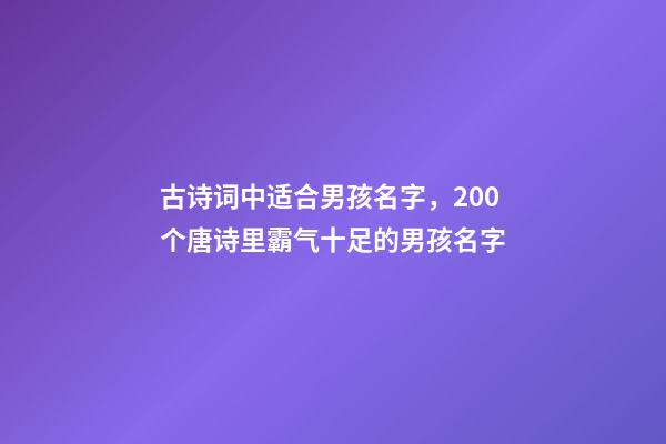 古诗词中适合男孩名字，200个唐诗里霸气十足的男孩名字-第1张-观点-玄机派