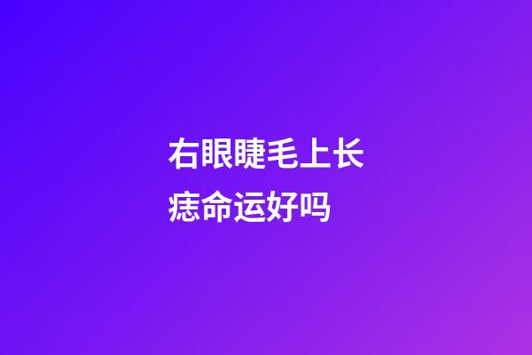 右眼睫毛上长痣命运好吗