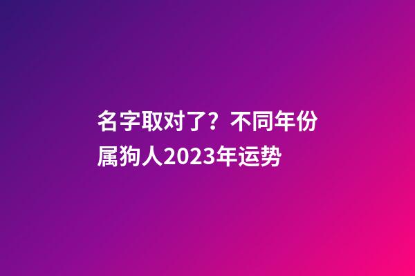 名字取对了？不同年份属狗人2023年运势