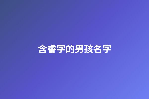 含睿字的男孩名字(带睿字的男孩名字洋气)-第1张-男孩起名-玄机派