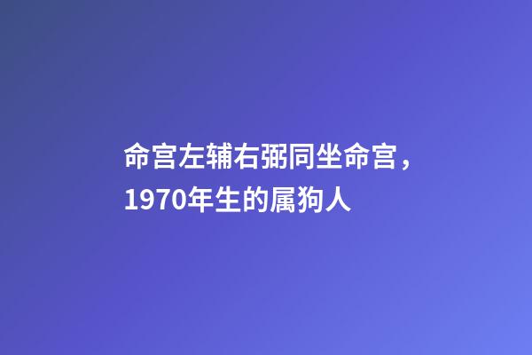 命宫左辅右弼同坐命宫，1970年生的属狗人-第1张-观点-玄机派