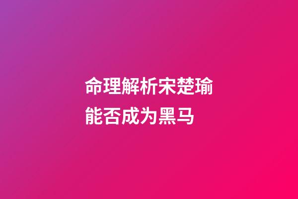 命理解析宋楚瑜能否成为黑马