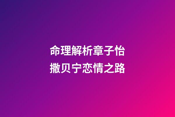 命理解析章子怡撒贝宁恋情之路