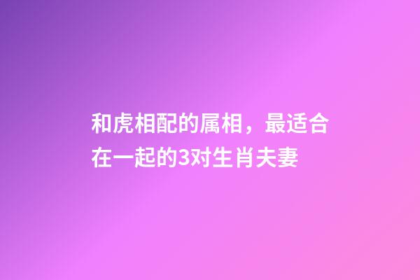 和虎相配的属相，最适合在一起的3对生肖夫妻-第1张-观点-玄机派