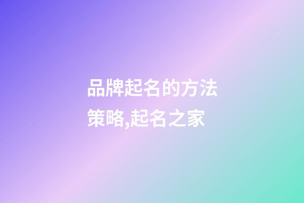 品牌起名的方法策略,起名之家-第1张-商标起名-玄机派