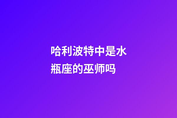 哈利波特中是水瓶座的巫师吗-第1张-星座运势-玄机派