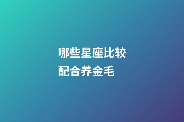 哪些星座比较配合养金毛-第1张-星座运势-玄机派