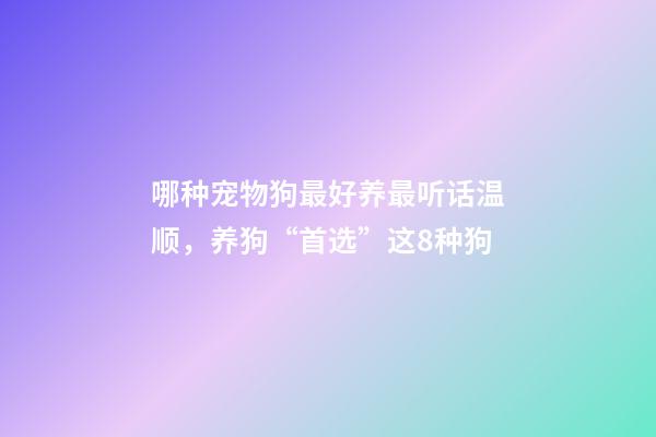 哪种宠物狗最好养最听话温顺，养狗“首选”这8种狗-第1张-观点-玄机派