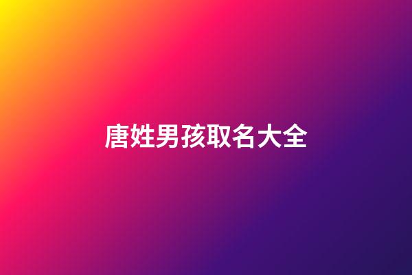 唐姓男孩取名大全(李姓名字大全男孩)-第1张-男孩起名-玄机派