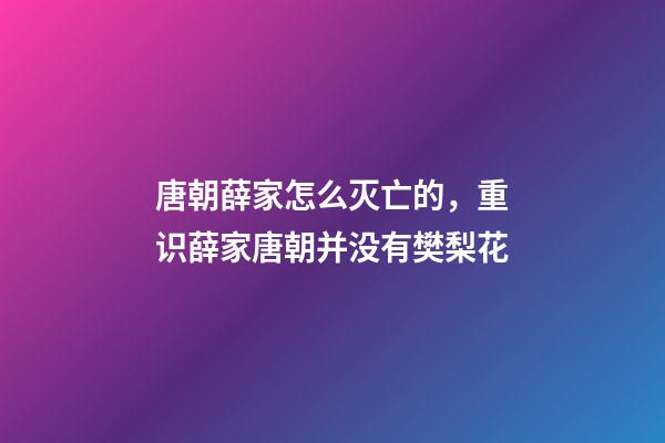 唐朝薛家怎么灭亡的，重识薛家(三六)唐朝并没有樊梨花