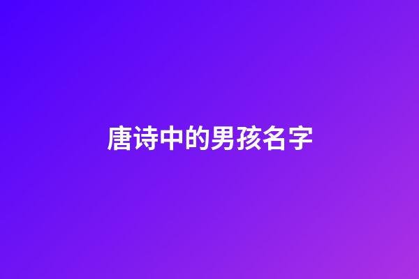 唐诗中的男孩名字(唐诗里面的男孩名字)-第1张-男孩起名-玄机派