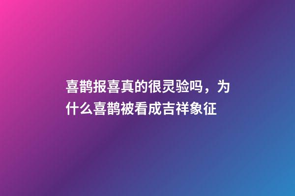 喜鹊报喜真的很灵验吗，为什么喜鹊被看成吉祥象征-第1张-观点-玄机派