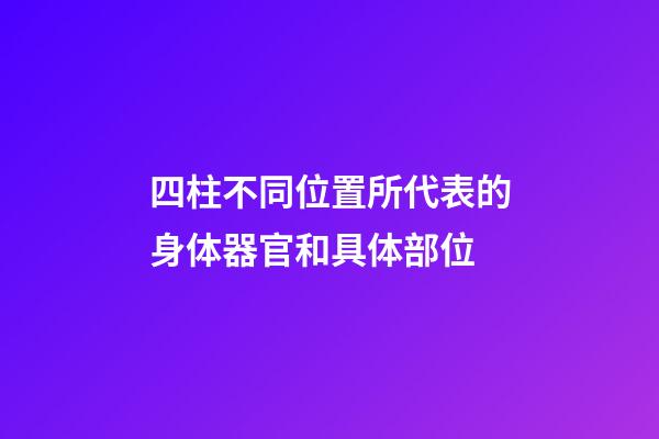 四柱不同位置所代表的身体器官和具体部位