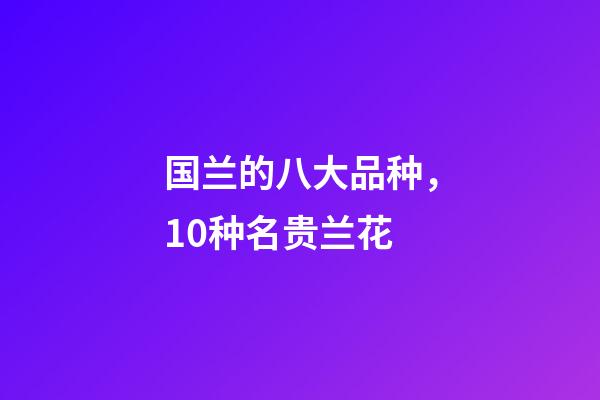 国兰的八大品种，10种名贵兰花-第1张-观点-玄机派