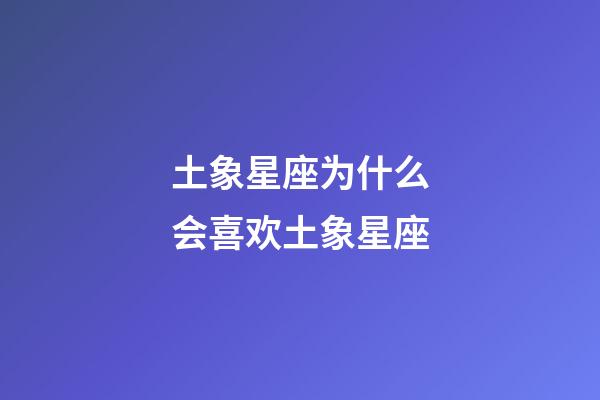 土象星座为什么会喜欢土象星座