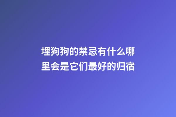 埋狗狗的禁忌有什么?哪里会是它们最好的归宿?