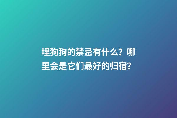 埋狗狗的禁忌有什么？哪里会是它们最好的归宿？