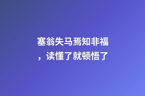 塞翁失马焉知非福，读懂了就顿悟了-第1张-观点-玄机派