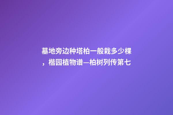 墓地旁边种塔柏一般栽多少棵，楷园植物谱—柏树列传第七-第1张-观点-玄机派