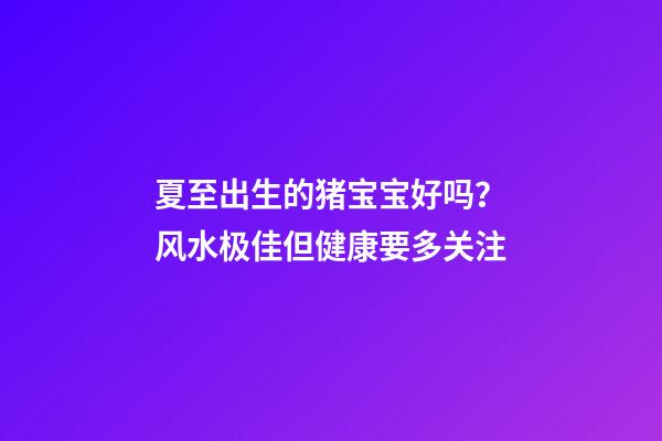 夏至出生的猪宝宝好吗？风水极佳但健康要多关注