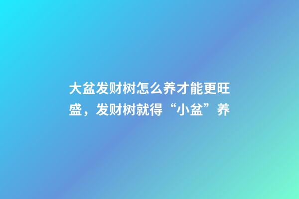 大盆发财树怎么养才能更旺盛，发财树就得“小盆”养-第1张-观点-玄机派